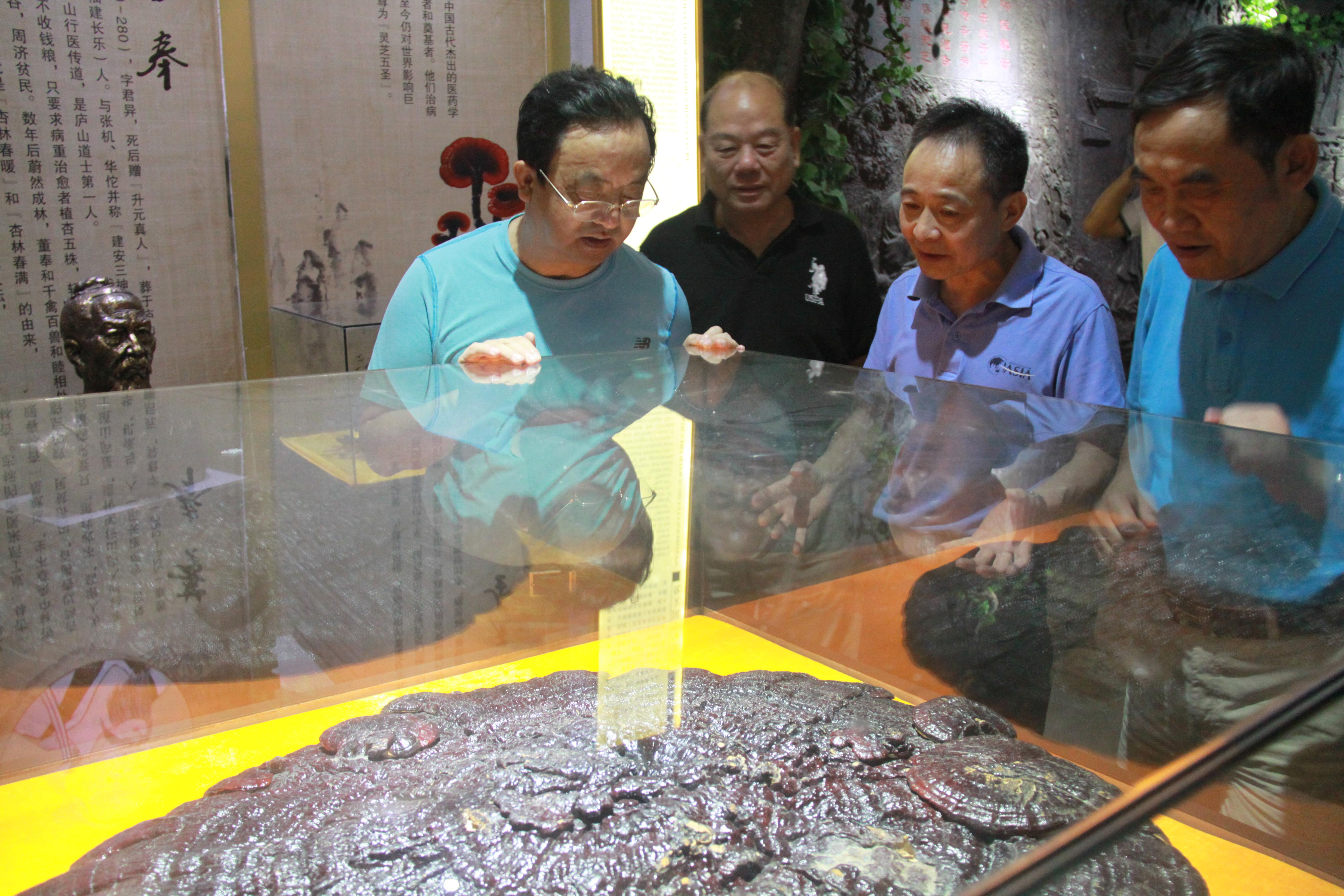 仙客來(lái)孢子粉|仙客來(lái)孢子油|仙客來(lái)靈芝|仙客來(lái)破壁孢子粉|江西老字號(hào)