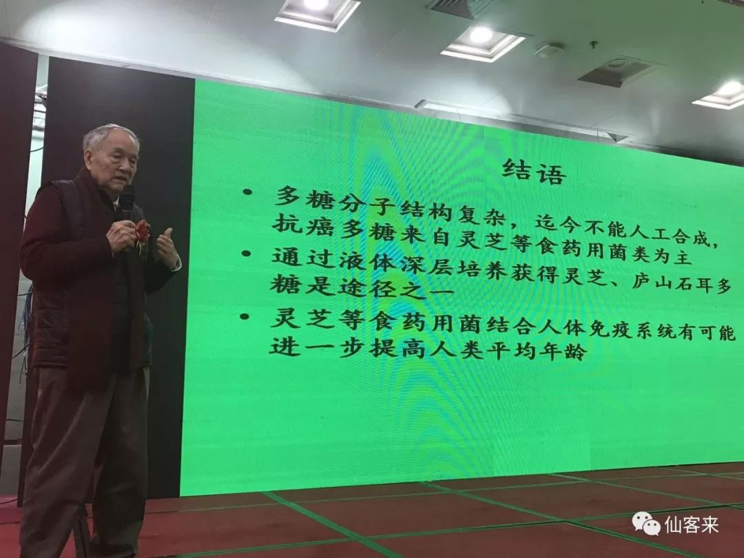 中國(guó)靈芝十大品牌|仙客來(lái)靈芝|仙客來(lái)靈芝破壁孢子粉|仙客來(lái)孢子油|仙客來(lái)靈芝飲片|仙客來(lái)破壁孢子粉|仙客來(lái)靈芝中藥飲片|馳名商標(biāo)|thomassmithdesign.com|