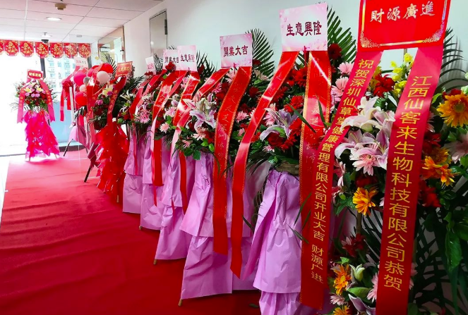 中國靈芝十大品牌|仙客來靈芝|仙客來靈芝破壁孢子粉|仙客來孢子油|仙客來靈芝飲片|仙客來破壁孢子粉|仙客來靈芝中藥飲片|馳名商標(biāo)|thomassmithdesign.com|