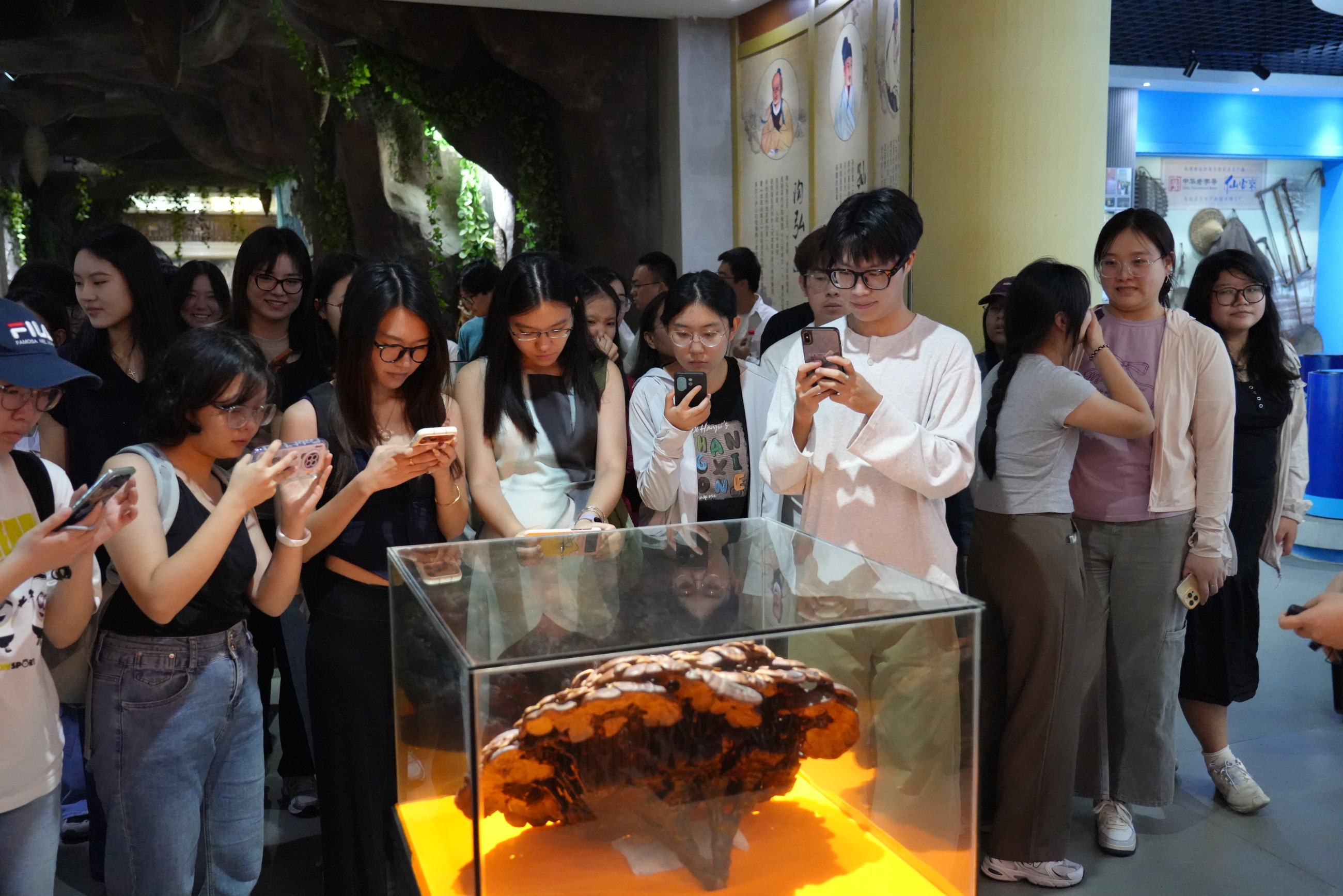 杭州亞運(yùn)會(huì)官方靈芝產(chǎn)品供應(yīng)商|杭州亞運(yùn)會(huì)官方供應(yīng)商|中國(guó)靈芝十大品牌|仙客來(lái)靈芝|仙客來(lái)靈芝破壁孢子粉|仙客來(lái)孢子油|仙客來(lái)靈芝飲片|仙客來(lái)破壁孢子粉|靈芝孢子油|孢子粉|靈芝破壁孢子粉|靈芝|中華老字號(hào)