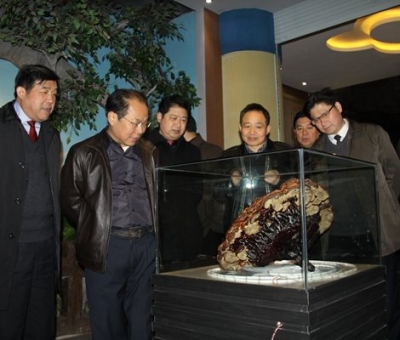 市委常委、宣傳部長(zhǎng)潘熙寧，副市長(zhǎng)盧天錫蒞臨仙客來(lái)公司走訪