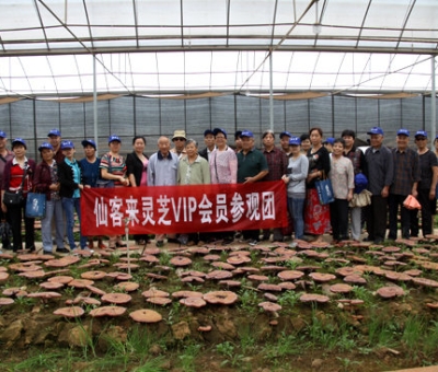 “慶國慶、賀重陽”專家義診活動在仙客來公司隆重舉行