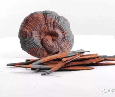 先，鮮，仙，一杯飲盡天下鮮。