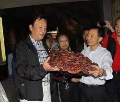 這樣過三月才是人生贏家！