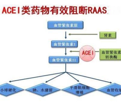 不吃藥，能降低高血壓？