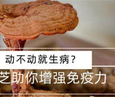 冬病夏治-如何調(diào)養(yǎng)身體？