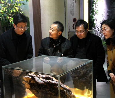 江西省工商聯(lián)副主席鄒常軍深入仙客來公司考察調研