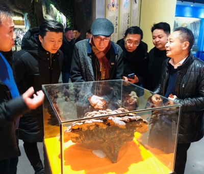 著名音樂(lè)家吳頌今參觀采風(fēng)“仙客來(lái)”