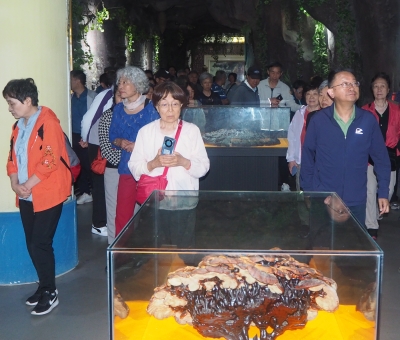 深深靈芝情！中華全國供銷合作總社再訪仙客來