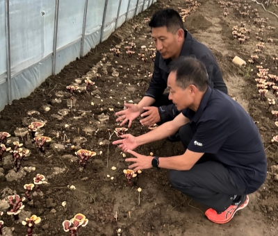 助力少數(shù)民族地區(qū)發(fā)展！潘新華應(yīng)邀前往西藏拉薩市和林芝市 共商產(chǎn)業(yè)發(fā)展良策